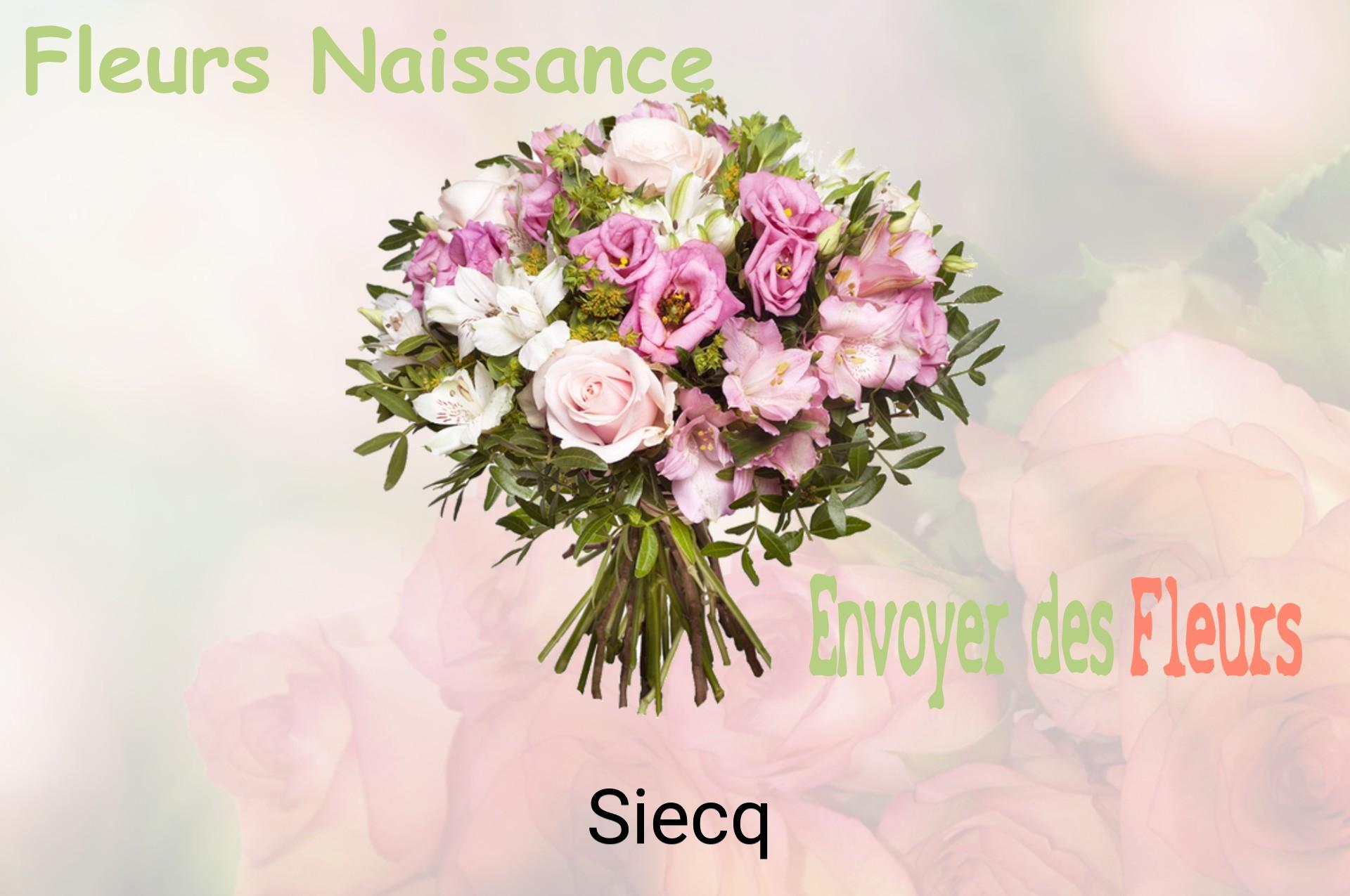 Bouquet de fleurs de naissance livré à Siecq